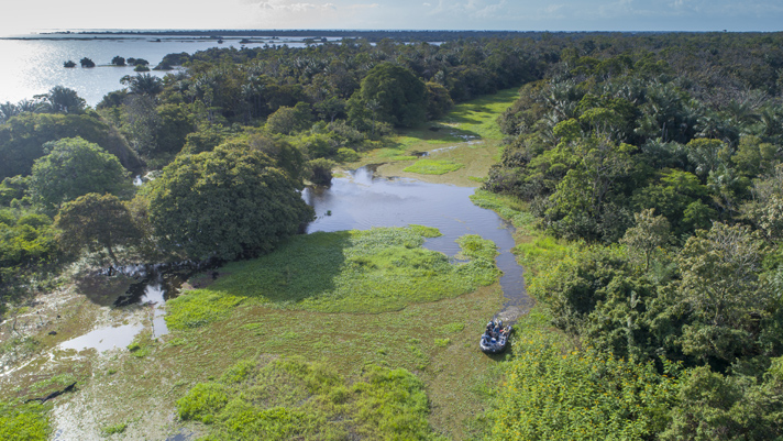 Adventure out on a once-in-a-lifetime shore expedition in the Amazon.