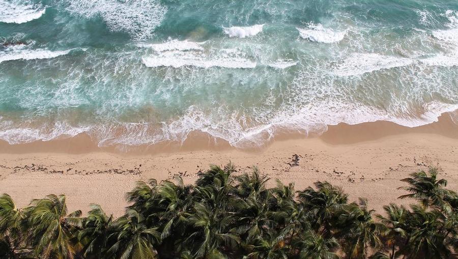 An aerial view of a beach with palm trees.