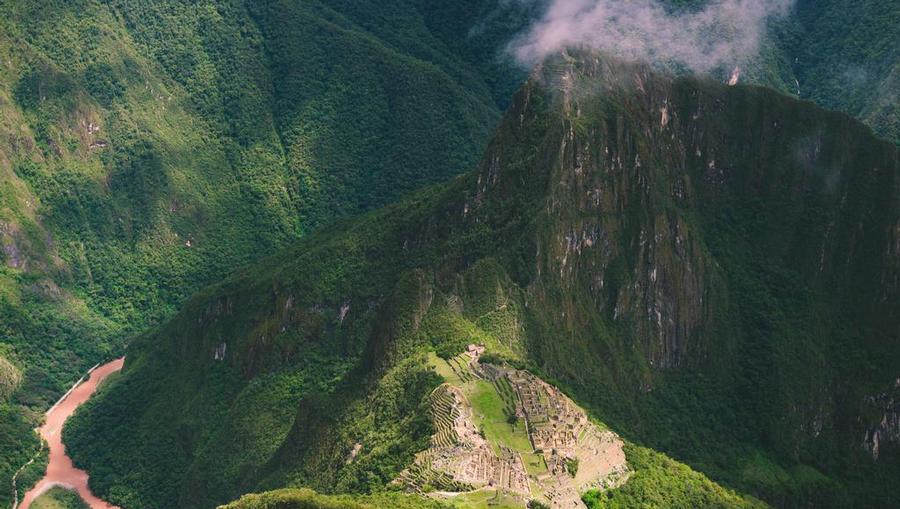 Cruises to South America.